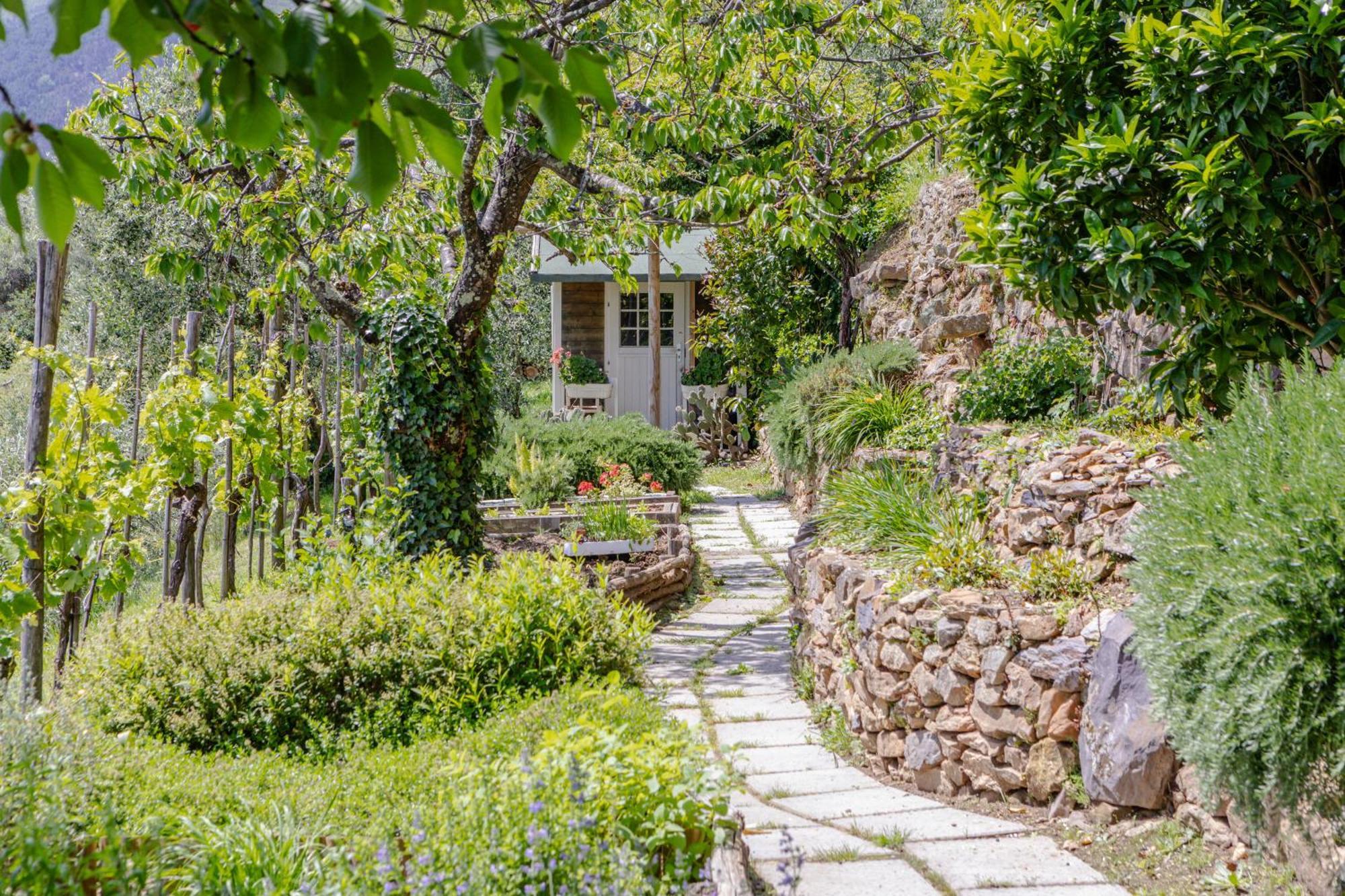 Villa Sii Felice Buti Экстерьер фото