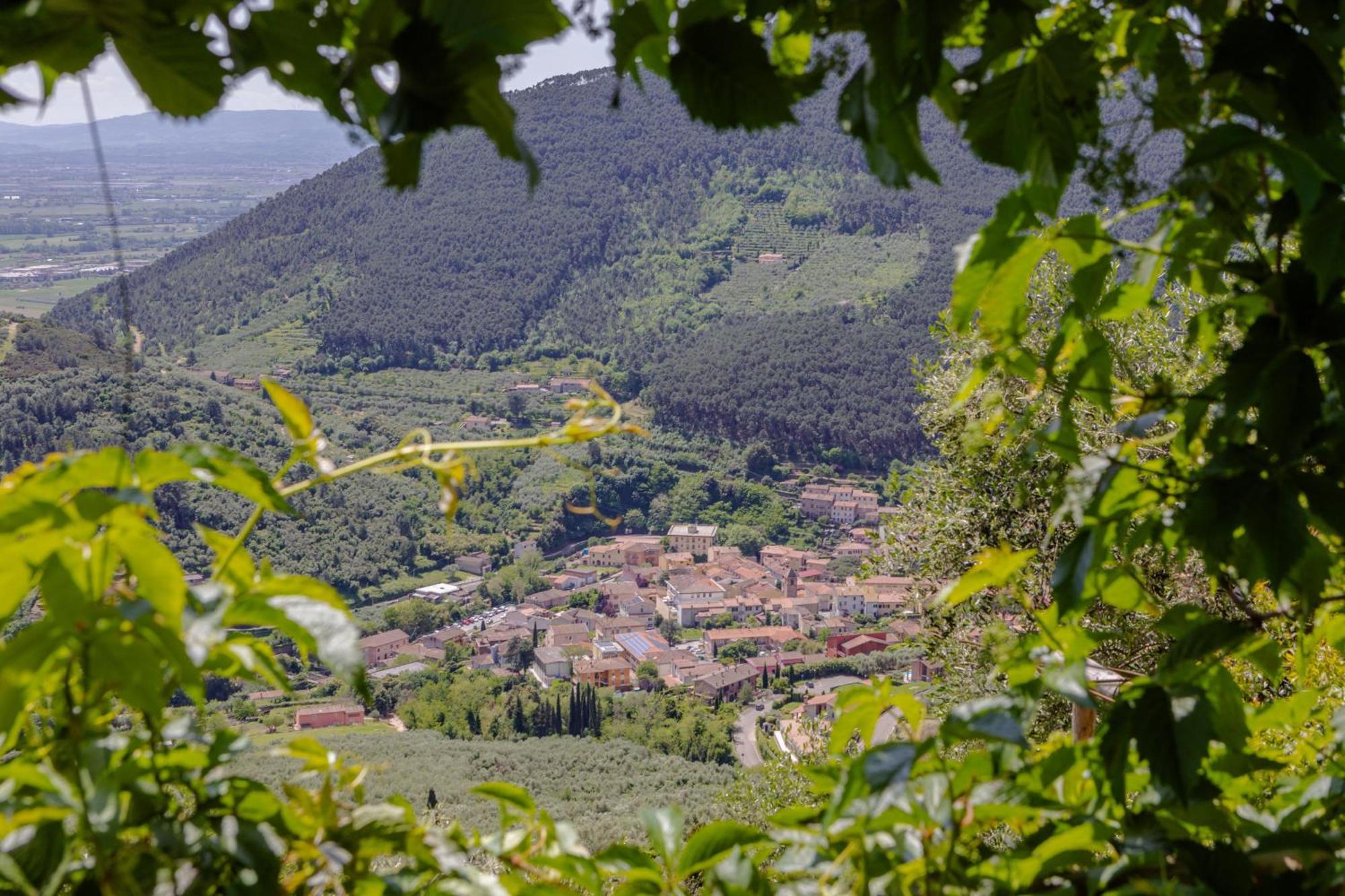 Villa Sii Felice Buti Экстерьер фото