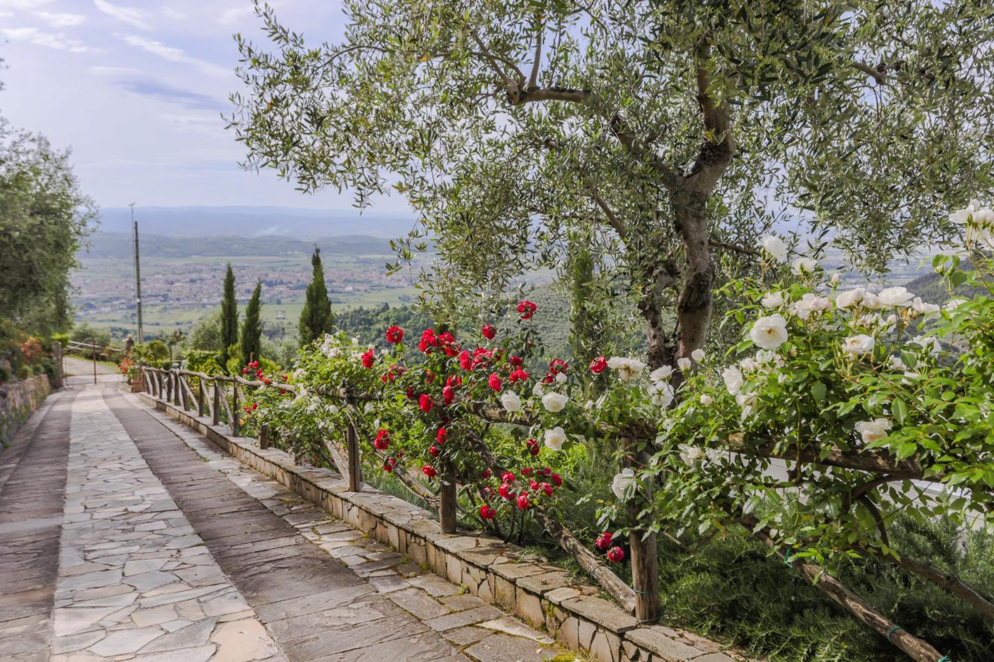 Villa Sii Felice Buti Экстерьер фото