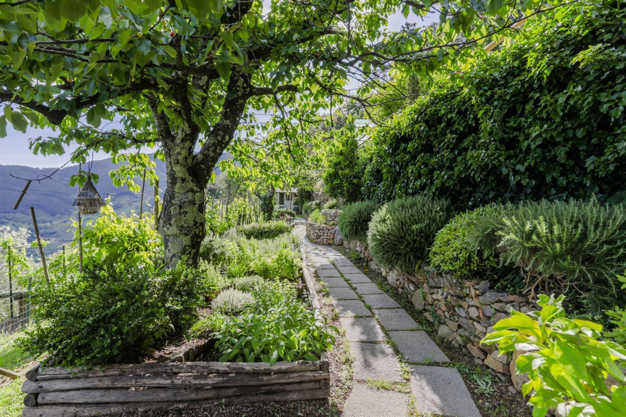 Villa Sii Felice Buti Экстерьер фото